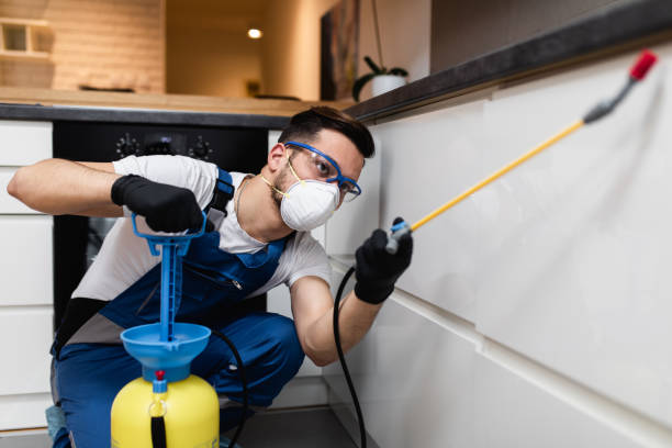 Wildlife Control Services in La Verne, CA