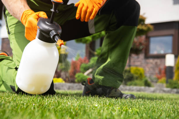 Best Residential Pest Control  in La Verne, CA