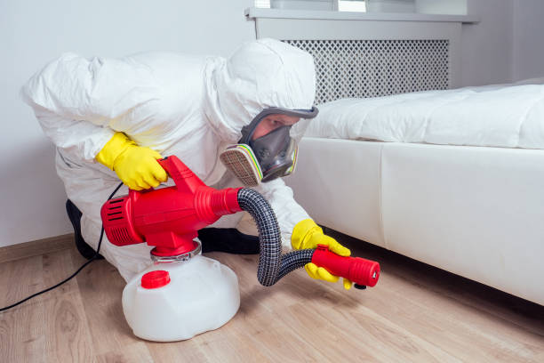 Trusted La Verne, CA Pest Control Experts