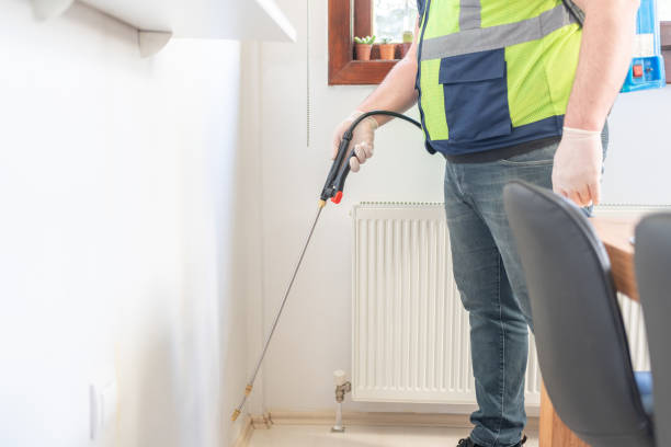 Best Pest Control Near Me in La Verne, CA