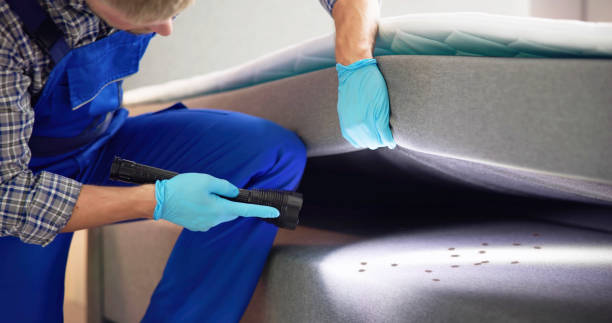 Best Local Pest Control Services  in La Verne, CA