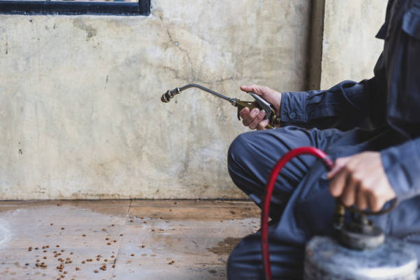 Best Commercial Pest Control Services  in La Verne, CA